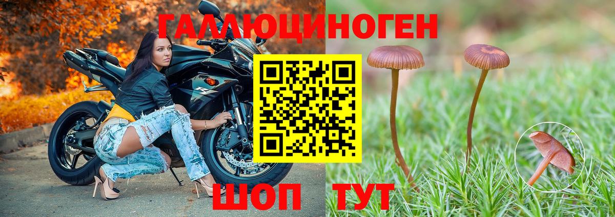 Псилоцибиновые грибы GOLDEN TEACHER  Вход с VPN  купить закладку  Кемерово 